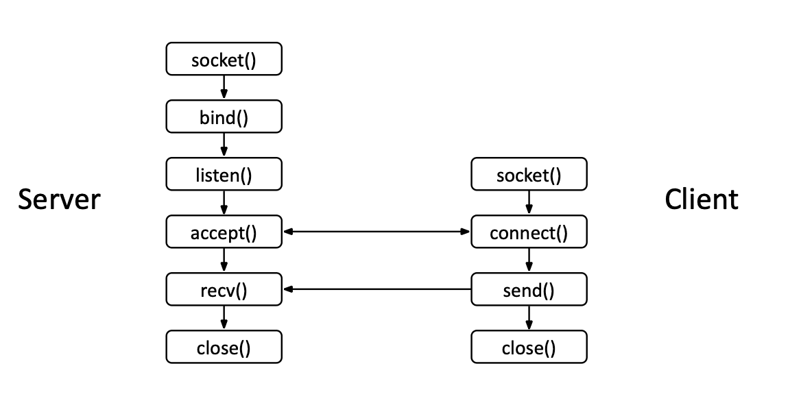 Client Server Architecture